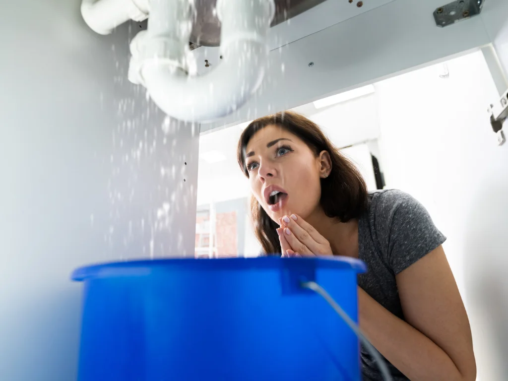 Leaky Pipe Repair